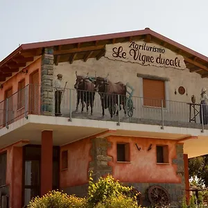 https://agriturismo-le-vigne-ducali.in-sardinia.net
